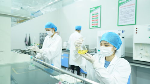 疆果果健康食品研究院获评自治区级企业技术中心，引领健康食品产业创新发展