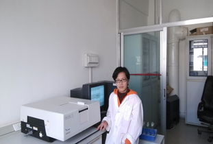 人员队伍建设在公共技术服务中心的技术咨询中的作用与策略